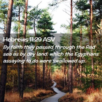 Picture 02 - Hebrews 11:29 ASV - By faith they passed through the Red sea as by - Bible Verse Picture