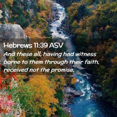 Picture 02 - Hebrews 11:39 ASV - And these all, having had witness borne to them - Bible Verse Picture