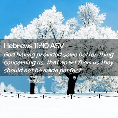 Picture 02 - Hebrews 11:40 ASV - God having provided some better thing concerning - Bible Verse Picture
