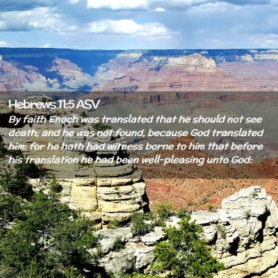 Picture 02 - Hebrews 11:5 ASV - By faith Enoch was translated that he should not - Bible Verse Picture