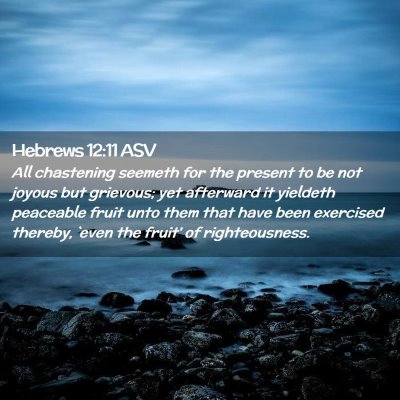 Picture 02 - Hebrews 12:11 ASV - All chastening seemeth for the present to be not - Bible Verse Picture