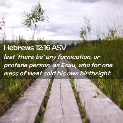 Picture 02 - Hebrews 12:16 ASV - lest `there be' any fornication, or profane - Bible Verse Picture