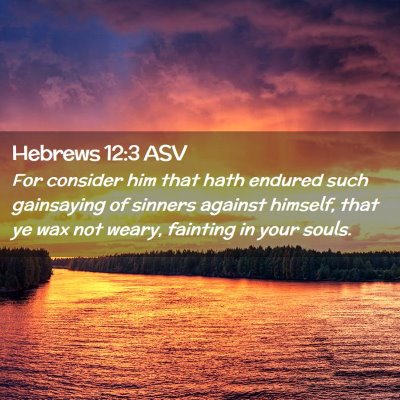 Picture 02 - Hebrews 12:3 ASV - For consider him that hath endured such - Bible Verse Picture