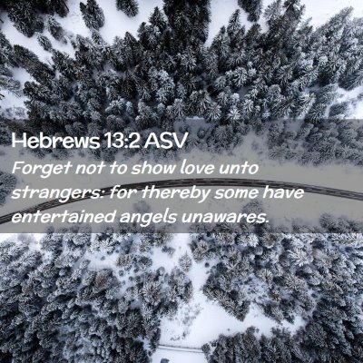 Picture 02 - Hebrews 13:2 ASV - Forget not to show love unto strangers: for - Bible Verse Picture