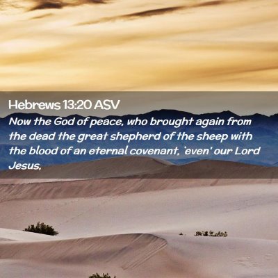 Picture 02 - Hebrews 13:20 ASV - Now the God of peace, who brought again from the - Bible Verse Picture