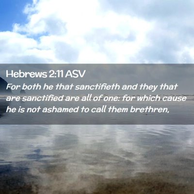 Picture 02 - Hebrews 2:11 ASV - For both he that sanctifieth and they that are - Bible Verse Picture