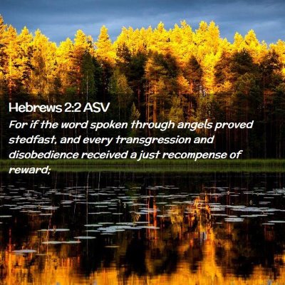 Picture 02 - Hebrews 2:2 ASV - For if the word spoken through angels proved - Bible Verse Picture