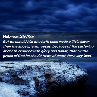 Picture 02 - Hebrews 2:9 ASV - But we behold him who hath been made a little - Bible Verse Picture