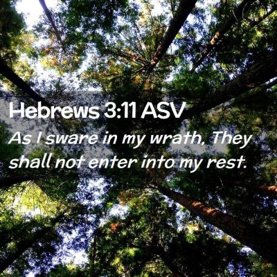 Picture 02 - Hebrews 3:11 ASV - As I sware in my wrath, They shall not enter into - Bible Verse Picture