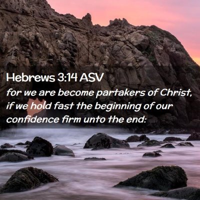 Picture 02 - Hebrews 3:14 ASV - for we are become partakers of Christ, if we hold - Bible Verse Picture