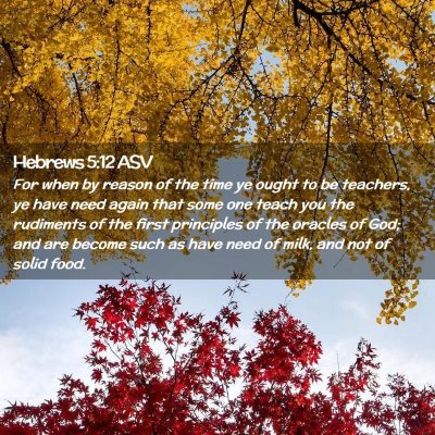 Picture 02 - Hebrews 5:12 ASV - For when by reason of the time ye ought to be - Bible Verse Picture