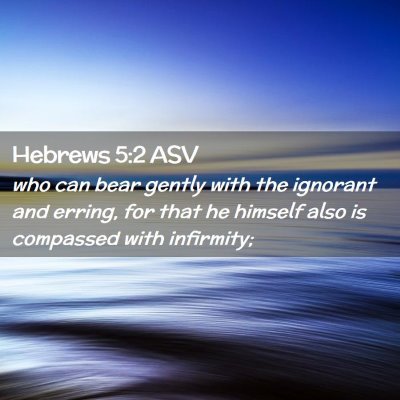 Picture 02 - Hebrews 5:2 ASV - who can bear gently with the ignorant and erring, - Bible Verse Picture