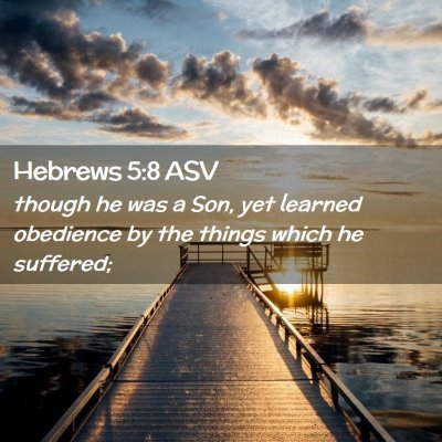 Picture 02 - Hebrews 5:8 ASV - though he was a Son, yet learned obedience by the - Bible Verse Picture