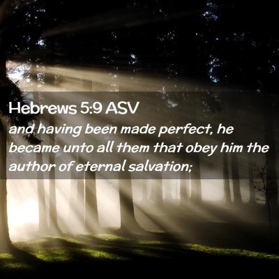 Picture 02 - Hebrews 5:9 ASV - and having been made perfect, he became unto all - Bible Verse Picture