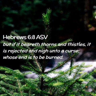 Picture 02 - Hebrews 6:8 ASV - but if it beareth thorns and thistles, it is - Bible Verse Picture