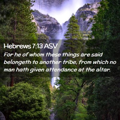 Picture 02 - Hebrews 7:13 ASV - For he of whom these things are said belongeth to - Bible Verse Picture