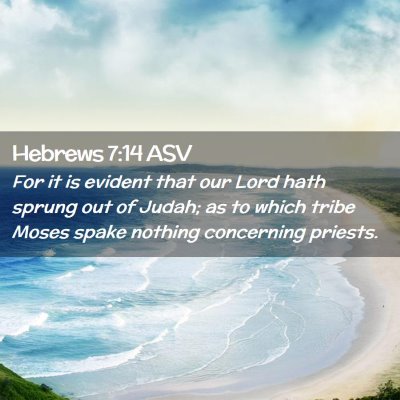 Picture 02 - Hebrews 7:14 ASV - For it is evident that our Lord hath sprung out - Bible Verse Picture