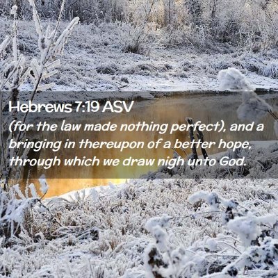 Picture 02 - Hebrews 7:19 ASV - (for the law made nothing perfect), and a - Bible Verse Picture