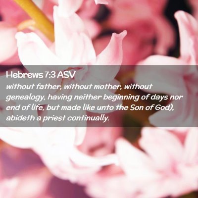 Picture 02 - Hebrews 7:3 ASV - without father, without mother, without - Bible Verse Picture
