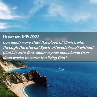 Picture 02 - Hebrews 9:14 ASV - how much more shall the blood of Christ, who - Bible Verse Picture