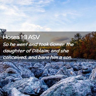 Picture 02 - Hosea 1:3 ASV - So he went and took Gomer the daughter of - Bible Verse Picture