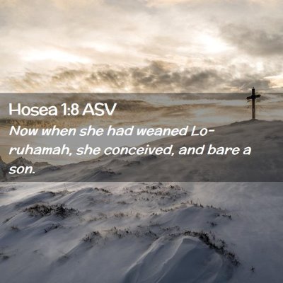 Picture 02 - Hosea 1:8 ASV - Now when she had weaned Lo-ruhamah, she - Bible Verse Picture