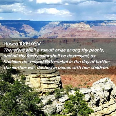 Picture 02 - Hosea 10:14 ASV - Therefore shall a tumult arise among thy people, - Bible Verse Picture
