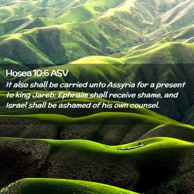 Picture 02 - Hosea 10:6 ASV - It also shall be carried unto Assyria for a - Bible Verse Picture