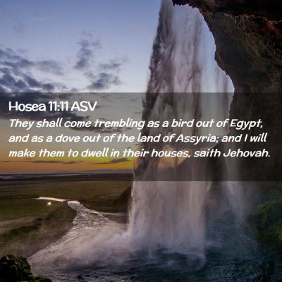 Picture 02 - Hosea 11:11 ASV - They shall come trembling as a bird out of Egypt, - Bible Verse Picture