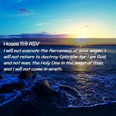Picture 02 - Hosea 11:9 ASV - I will not execute the fierceness of mine anger, - Bible Verse Picture