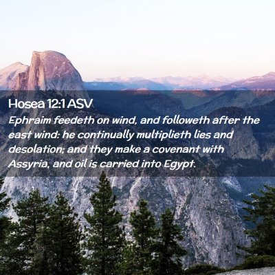 Picture 02 - Hosea 12:1 ASV - Ephraim feedeth on wind, and followeth after the - Bible Verse Picture