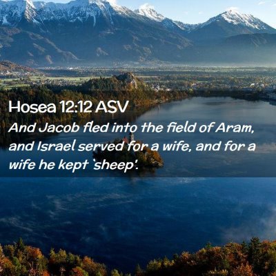 Picture 02 - Hosea 12:12 ASV - And Jacob fled into the field of Aram, and Israel - Bible Verse Picture