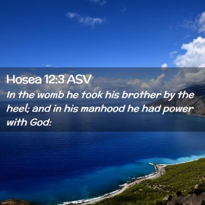 Picture 02 - Hosea 12:3 ASV - In the womb he took his brother by the heel; and - Bible Verse Picture