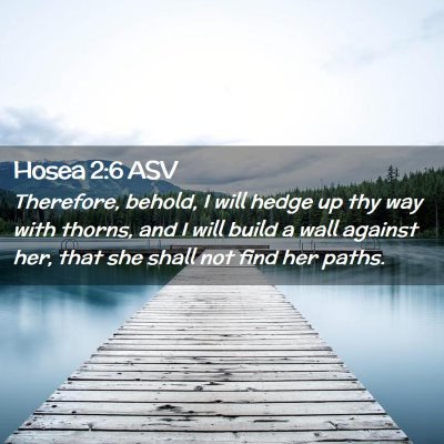 Picture 02 - Hosea 2:6 ASV - Therefore, behold, I will hedge up thy way with - Bible Verse Picture