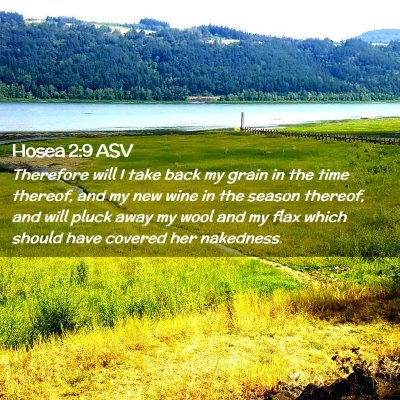 Picture 02 - Hosea 2:9 ASV - Therefore will I take back my grain in the time - Bible Verse Picture
