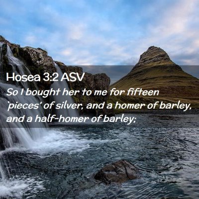 Picture 02 - Hosea 3:2 ASV - So I bought her to me for fifteen `pieces' of - Bible Verse Picture