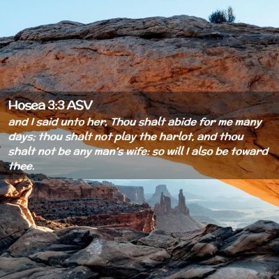 Picture 02 - Hosea 3:3 ASV - and I said unto her, Thou shalt abide for me many - Bible Verse Picture