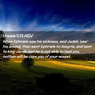 Picture 02 - Hosea 5:13 ASV - When Ephraim saw his sickness, and Judah `saw' - Bible Verse Picture