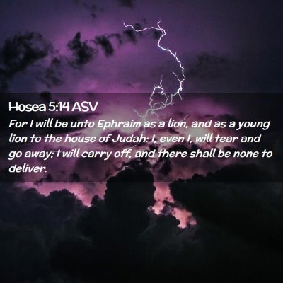 Picture 02 - Hosea 5:14 ASV - For I will be unto Ephraim as a lion, and as a - Bible Verse Picture