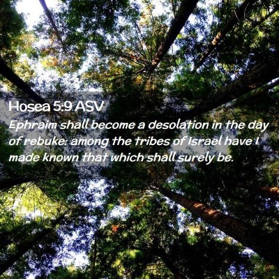 Picture 02 - Hosea 5:9 ASV - Ephraim shall become a desolation in the day of - Bible Verse Picture
