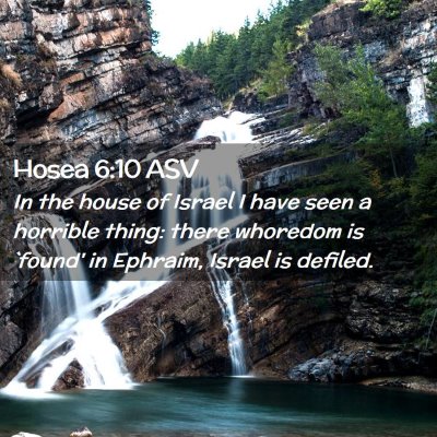 Picture 02 - Hosea 6:10 ASV - In the house of Israel I have seen a horrible - Bible Verse Picture