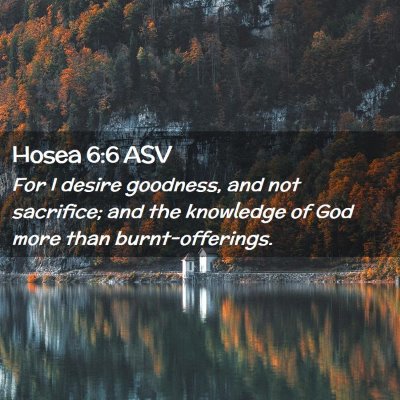 Picture 02 - Hosea 6:6 ASV - For I desire goodness, and not sacrifice; and the - Bible Verse Picture