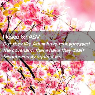 Picture 02 - Hosea 6:7 ASV - But they like Adam have transgressed the - Bible Verse Picture