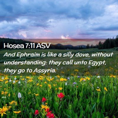 Picture 02 - Hosea 7:11 ASV - And Ephraim is like a silly dove, without - Bible Verse Picture