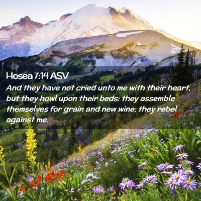 Picture 02 - Hosea 7:14 ASV - And they have not cried unto me with their heart, - Bible Verse Picture