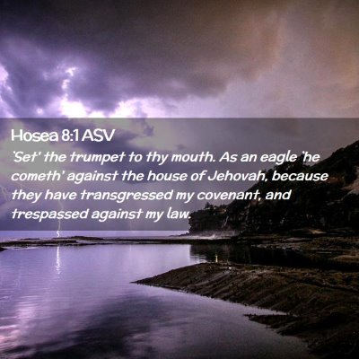 Picture 02 - Hosea 8:1 ASV - `Set' the trumpet to thy mouth. As an eagle `he - Bible Verse Picture