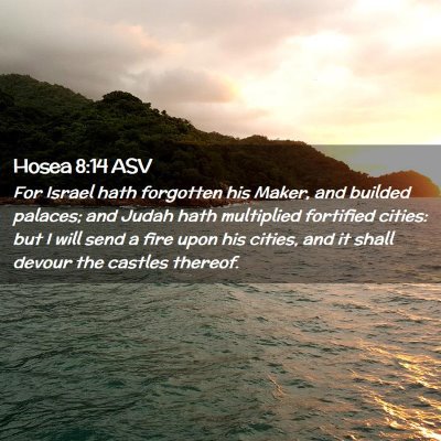 Picture 02 - Hosea 8:14 ASV - For Israel hath forgotten his Maker, and builded - Bible Verse Picture