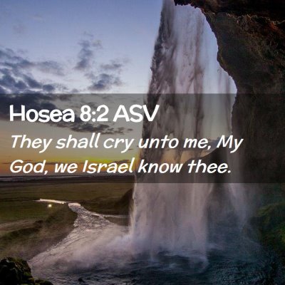 Picture 02 - Hosea 8:2 ASV - They shall cry unto me, My God, we Israel know - Bible Verse Picture