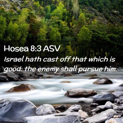 Picture 02 - Hosea 8:3 ASV - Israel hath cast off that which is good: the - Bible Verse Picture
