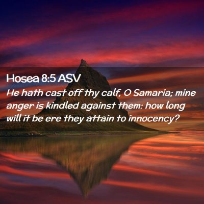 Picture 02 - Hosea 8:5 ASV - He hath cast off thy calf, O Samaria; mine anger - Bible Verse Picture